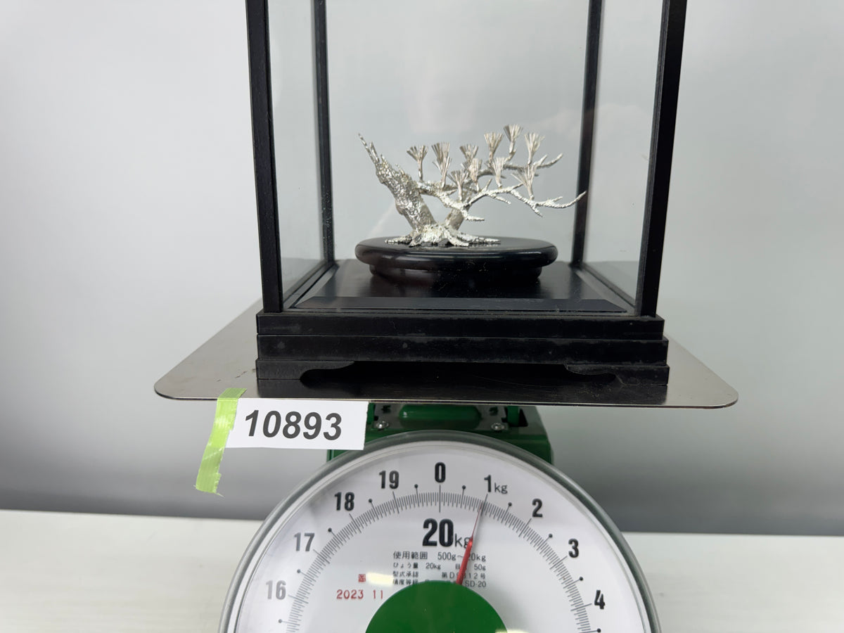 Y10893 OKIMONO Silver Pine tree ornament glass case Japan antique interior decor