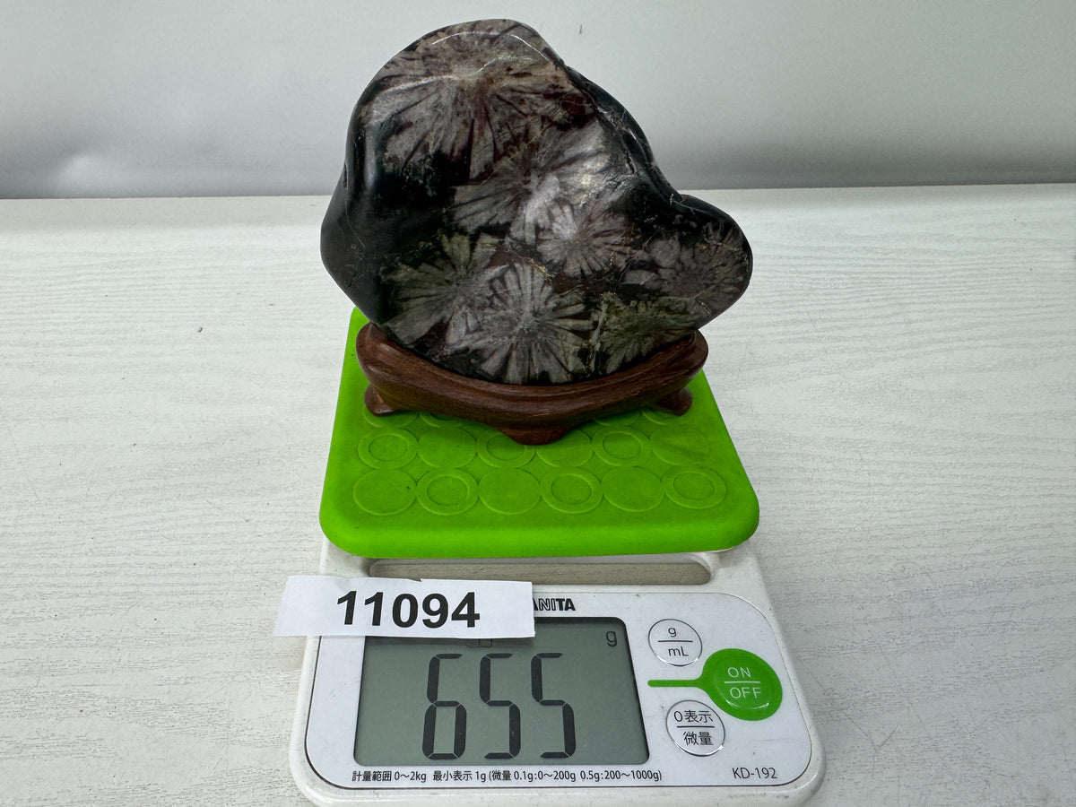 Y11094 OKIMONO Chrysanthemum viewing stone wooden stand Japan antique interior