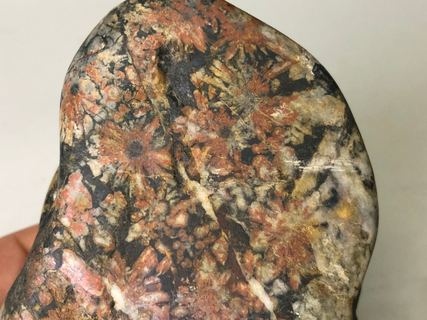 Y7717 OKIMONO Chrysanthemum stone wood stand signed Japan antique decor interior
