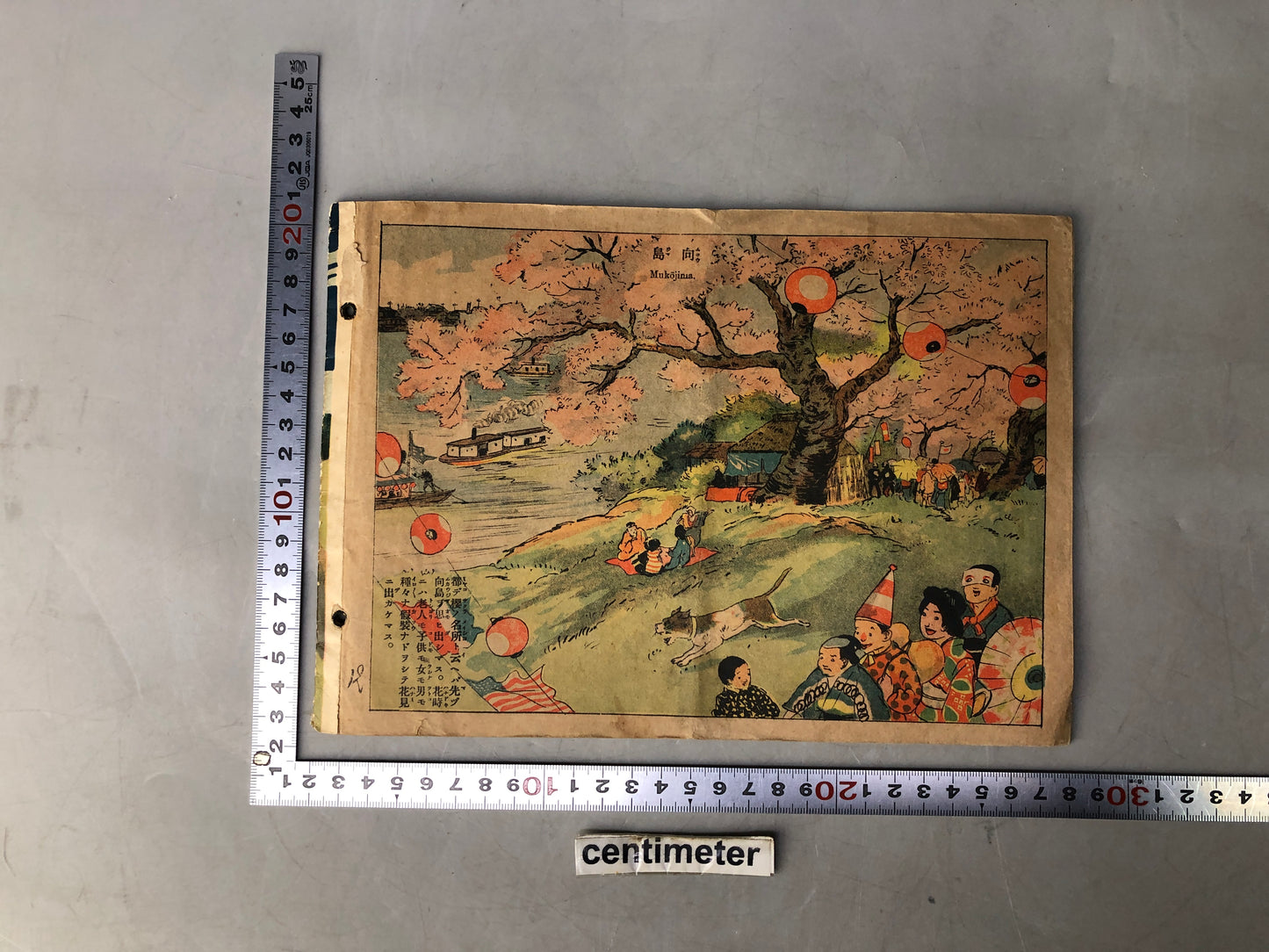 Y8239 PICTURE BOOK Prewar famous places sightseeing Japan antique reading