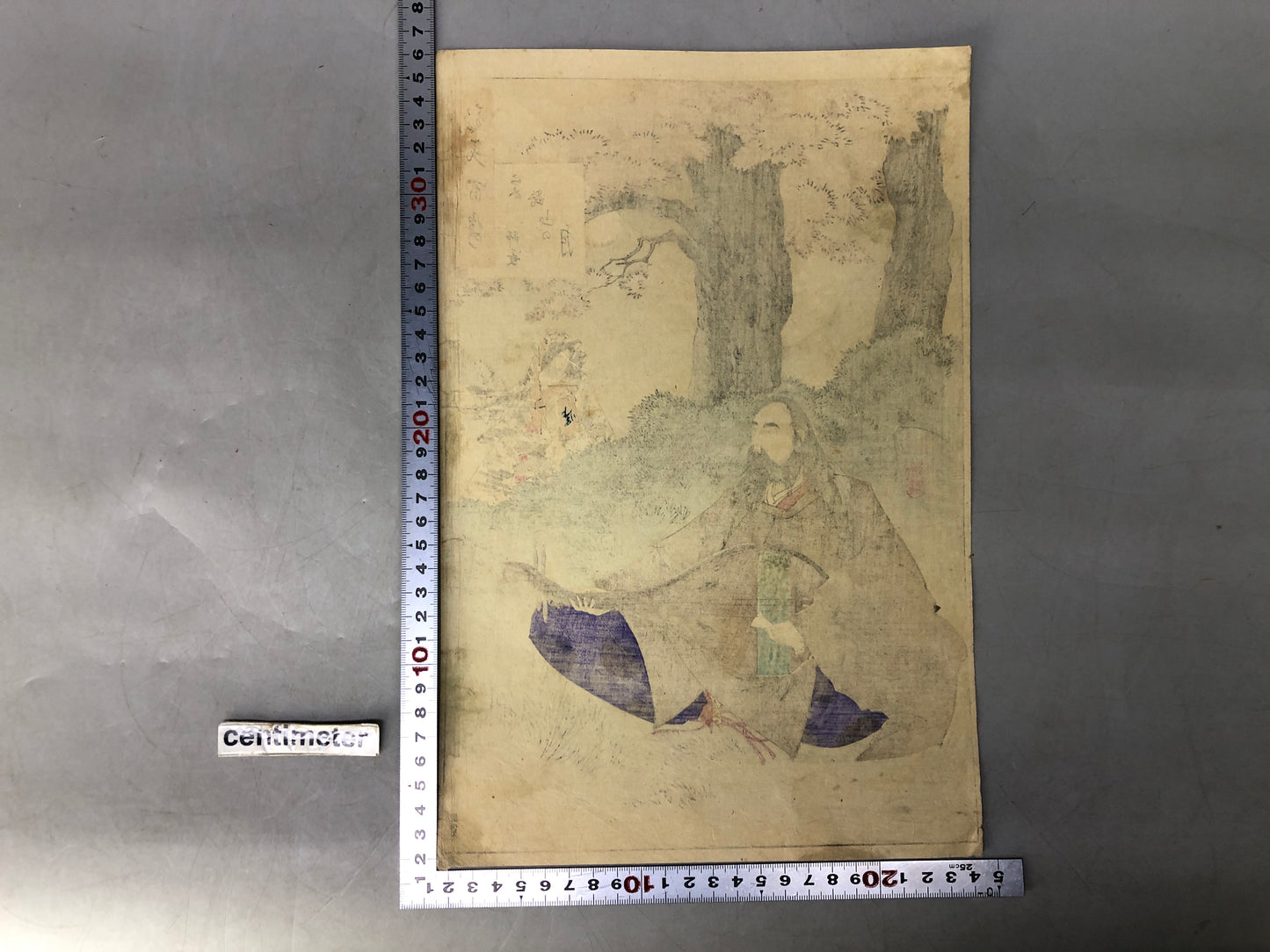Y8329 WOODBLOCK PRINT Tsukioka Yoshitoshi single piece Japan Ukiyoe antique art