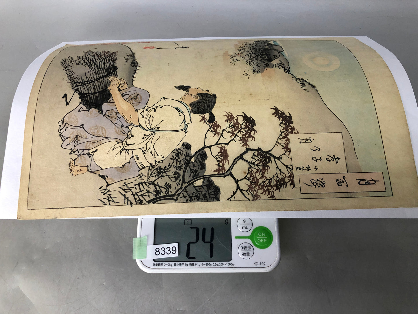 Y8339 WOODBLOCK PRINT Tsukioka Yoshitoshi single piece Japan Ukiyoe antique
