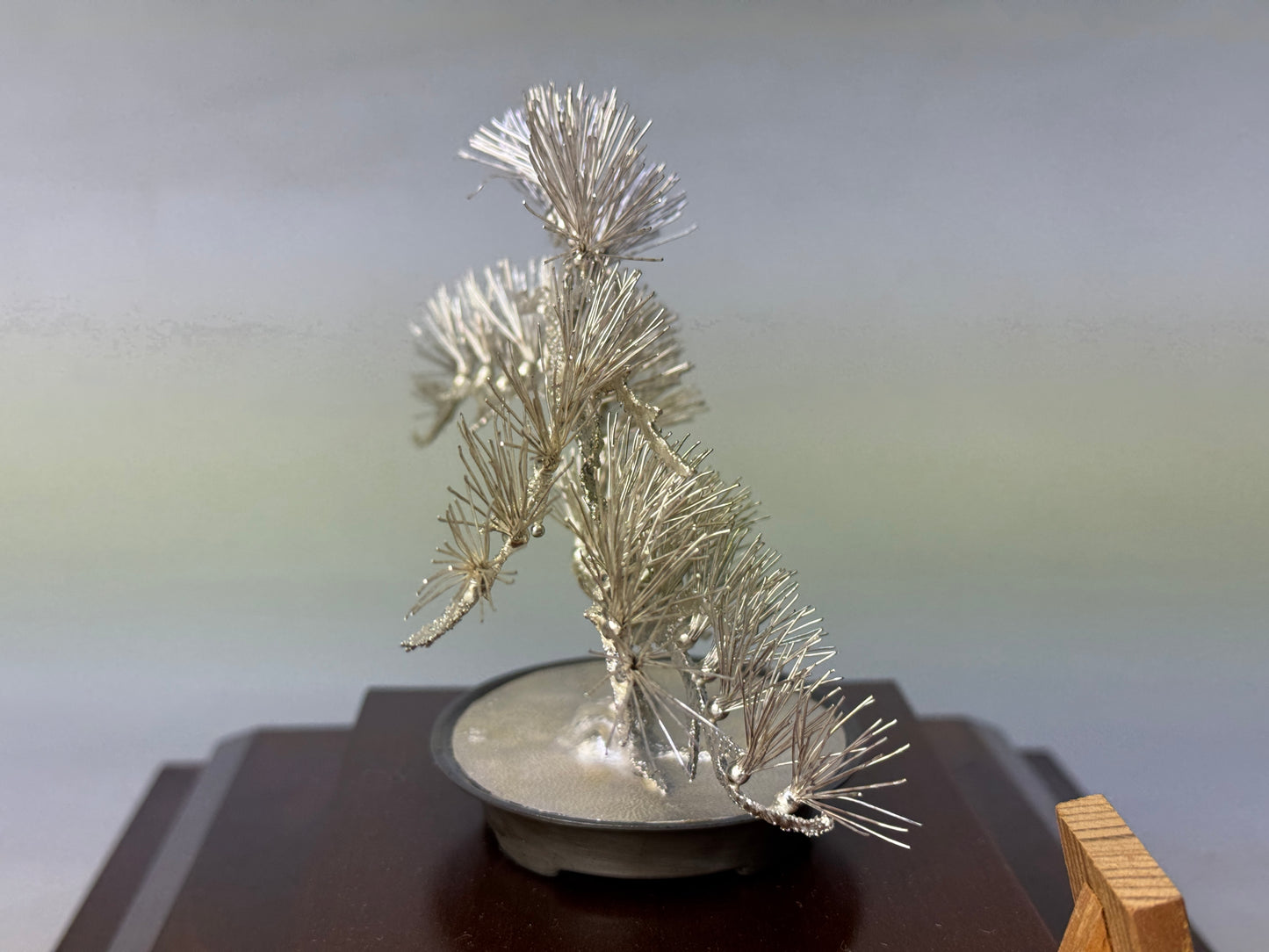 Y8747 OKIMONO pure Silver Pine ornament glass case Japan antique interior decor