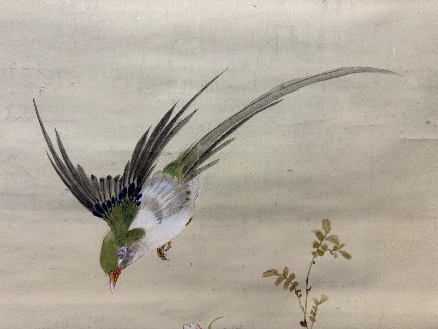 Y8897 KAKEJIKU Flower Bird no signature Japan antique hanging scroll interior