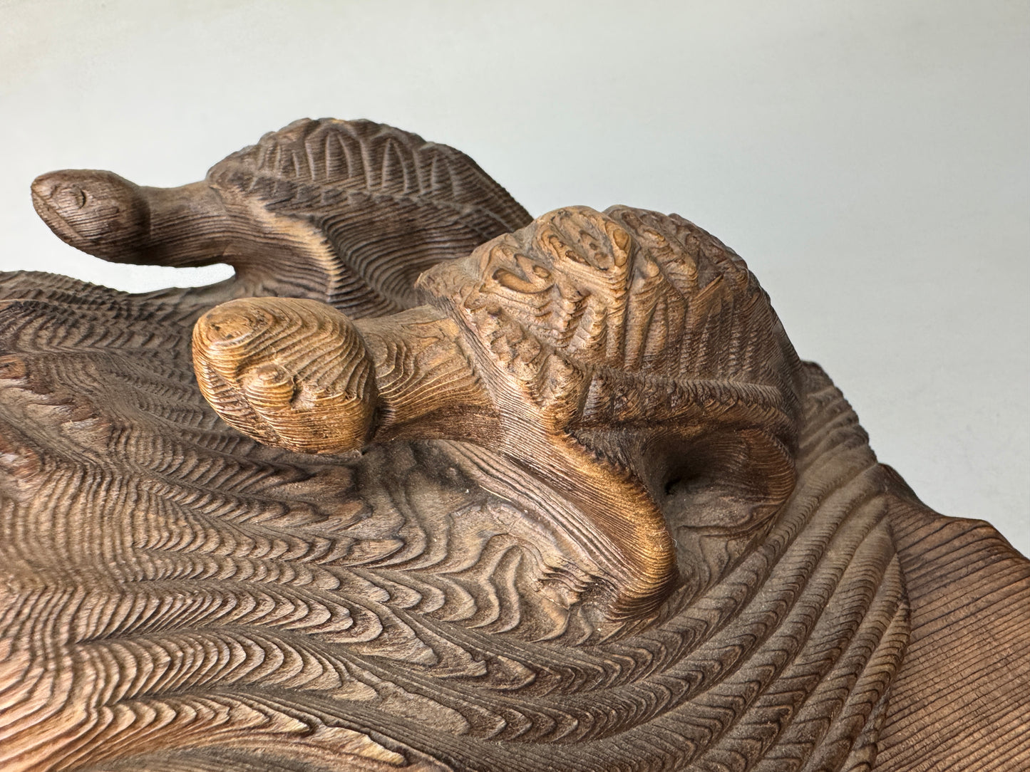 Y8937 OKIMONO wood carving Turtle figurine stand cedar Japan antique interior
