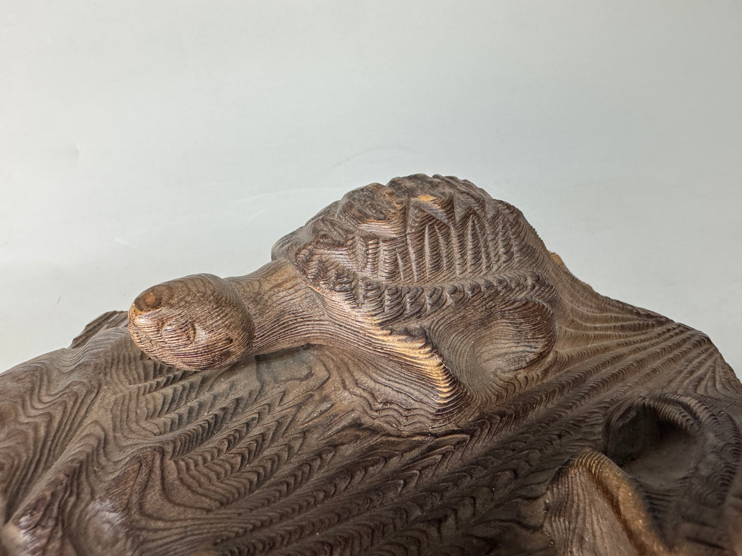 Y8937 OKIMONO wood carving Turtle figurine stand cedar Japan antique interior