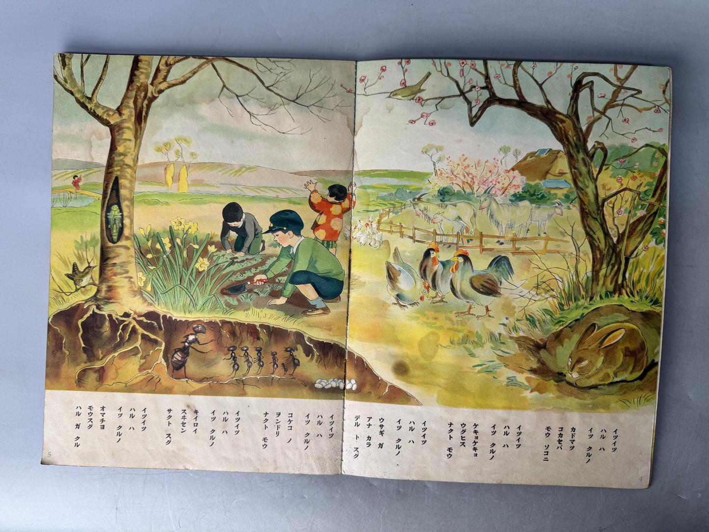 Y8977 PICTURE BOOK Prewar Kinder Books spring summer autumn winter Japan antique