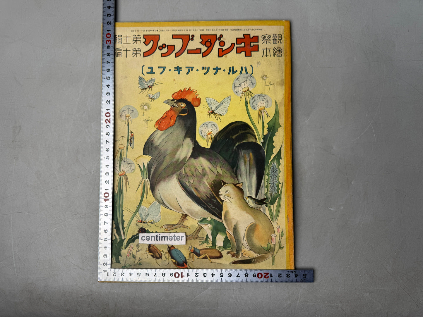 Y8977 PICTURE BOOK Prewar Kinder Books spring summer autumn winter Japan antique
