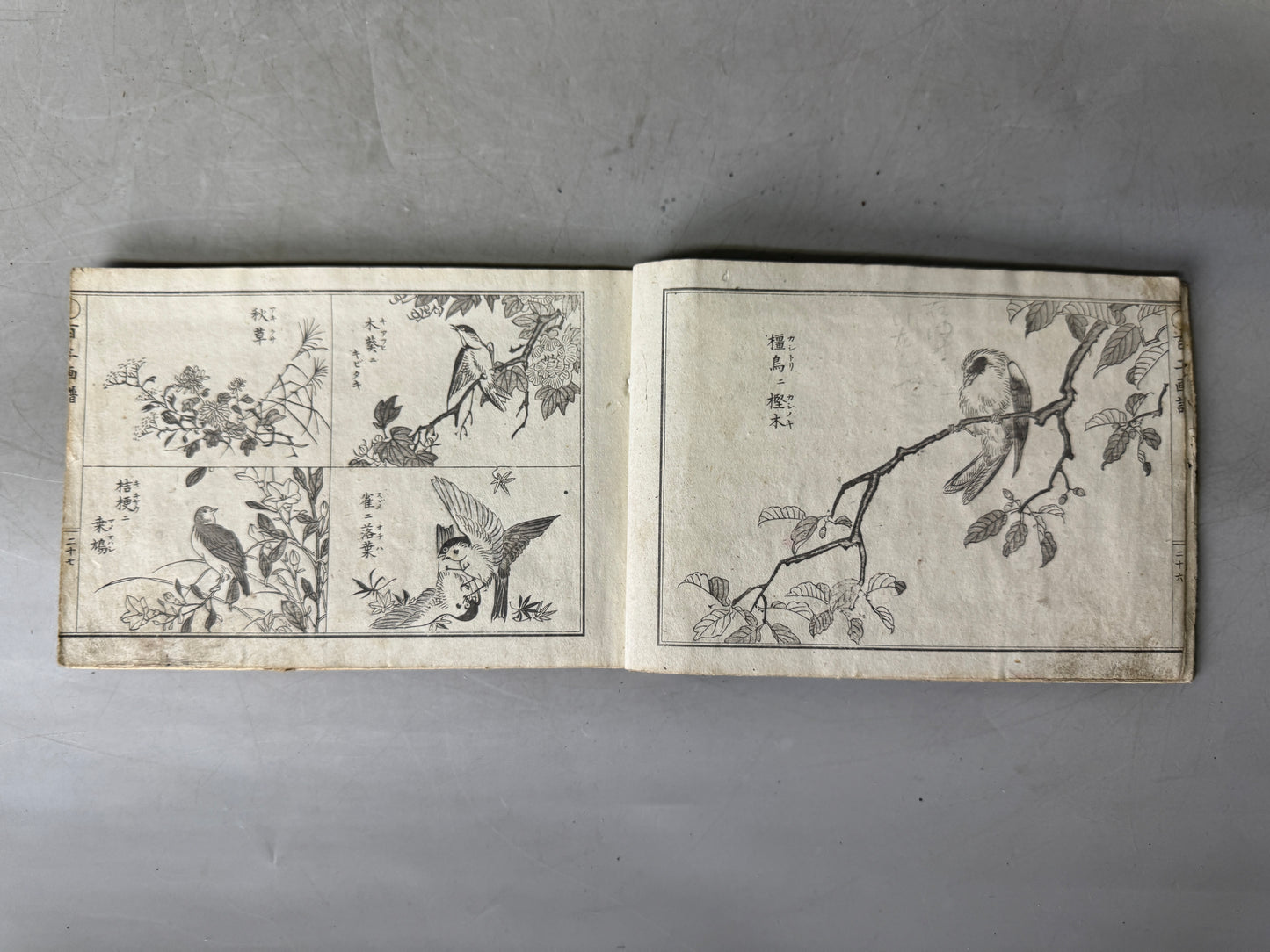 Y9032 WOODBLOCK PRINT Japanese illustrated book Japan Ukiyoe antique document