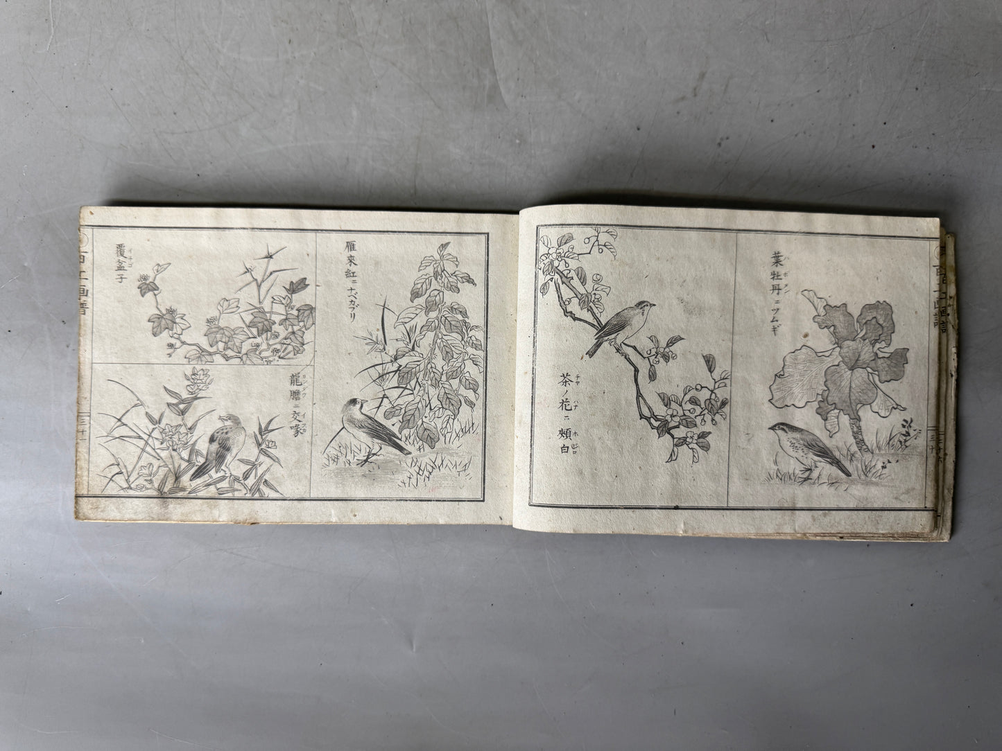 Y9032 WOODBLOCK PRINT Japanese illustrated book Japan Ukiyoe antique document