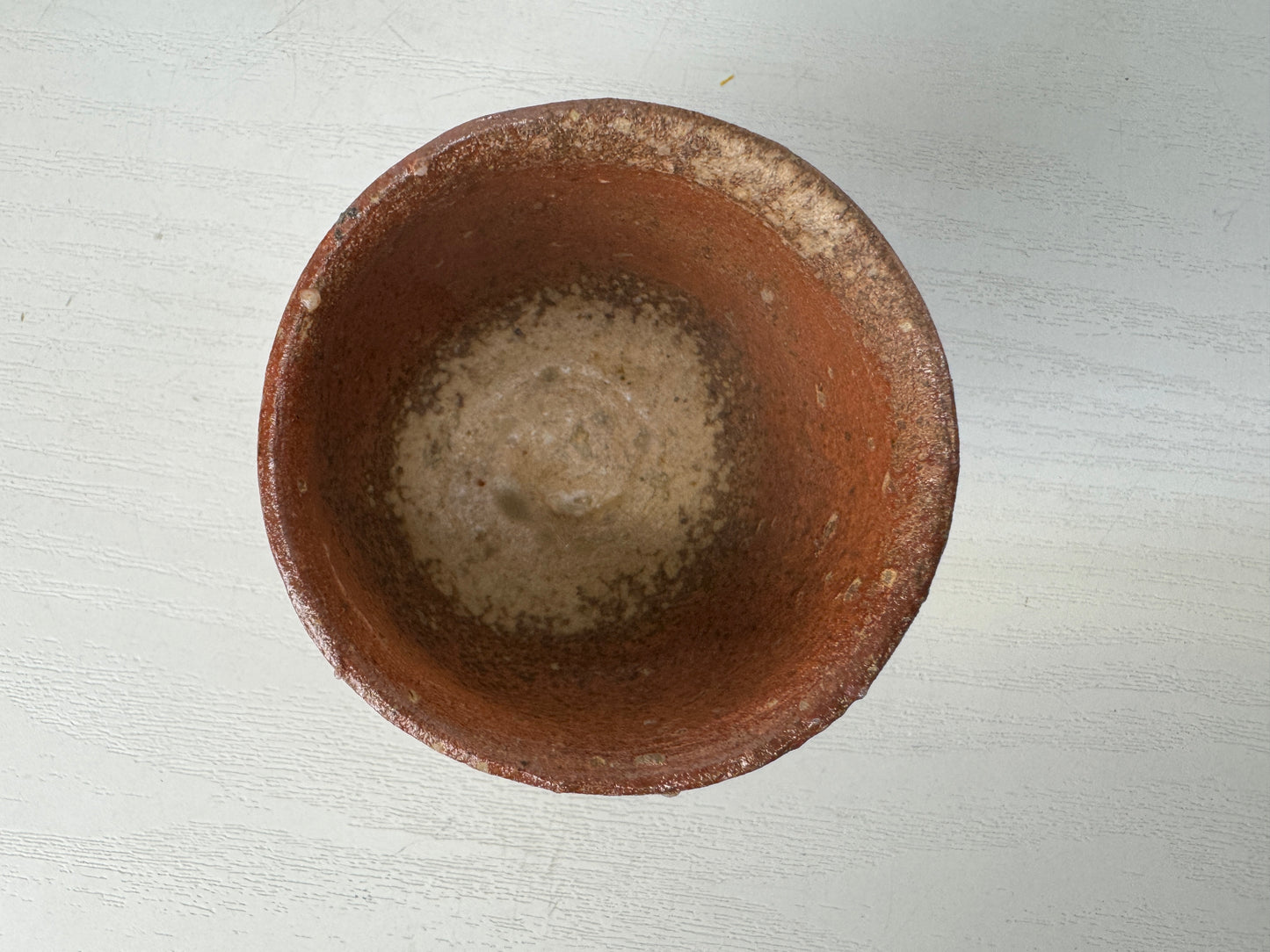 Y9084 CHAWAN Shigaraki-ware sake cup signed box Guinomi Japan antique tableware
