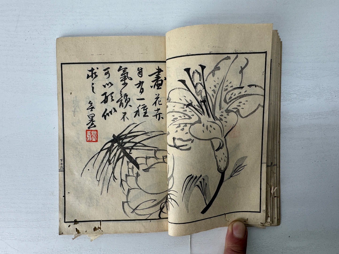 Y9089 WOODBLOCK PRINT Japanese illustration book Japan antique Ukiyoe document