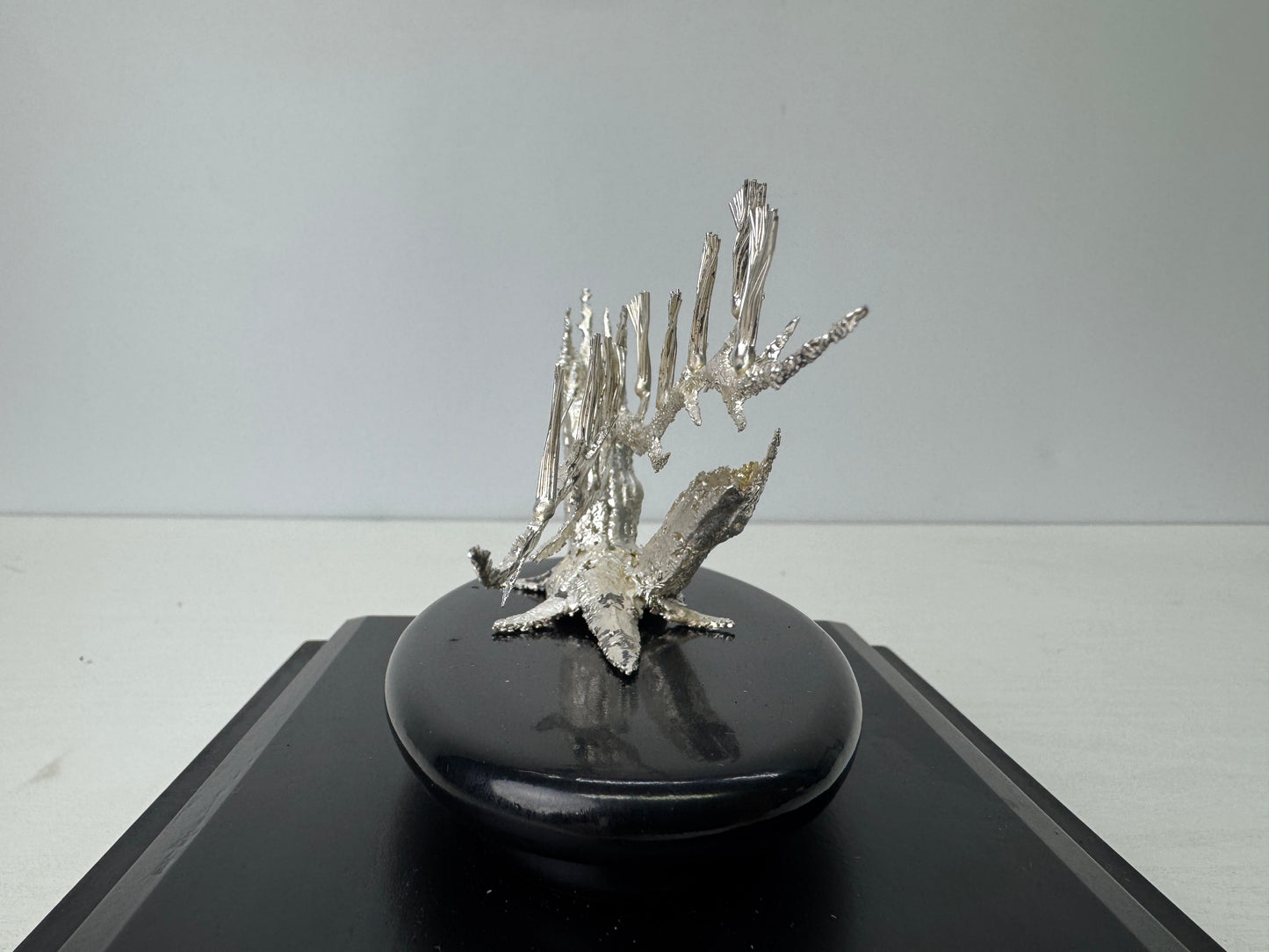 Y9199 OKIMONO Pure Silver Pine figure glass case Japan antique interior decor
