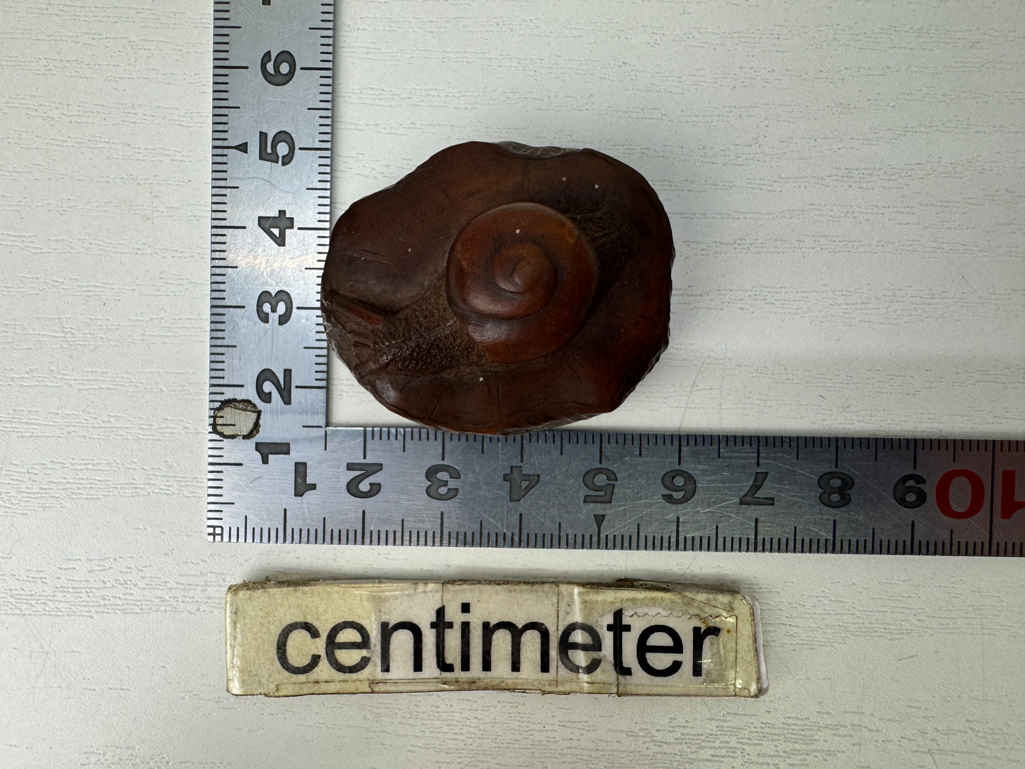 Y9207 NETSUKE wood carving Snail signed Japan antique kimono accessory fashion