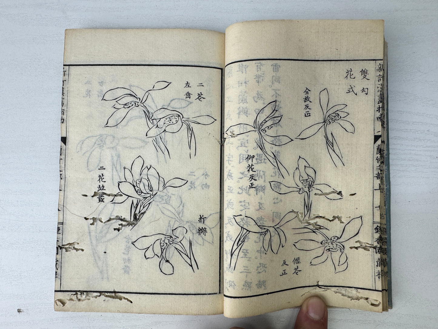 Y9243 WOODBLOCK PRINT Japanese book 1 volume Ikebana arrangement Japan antique