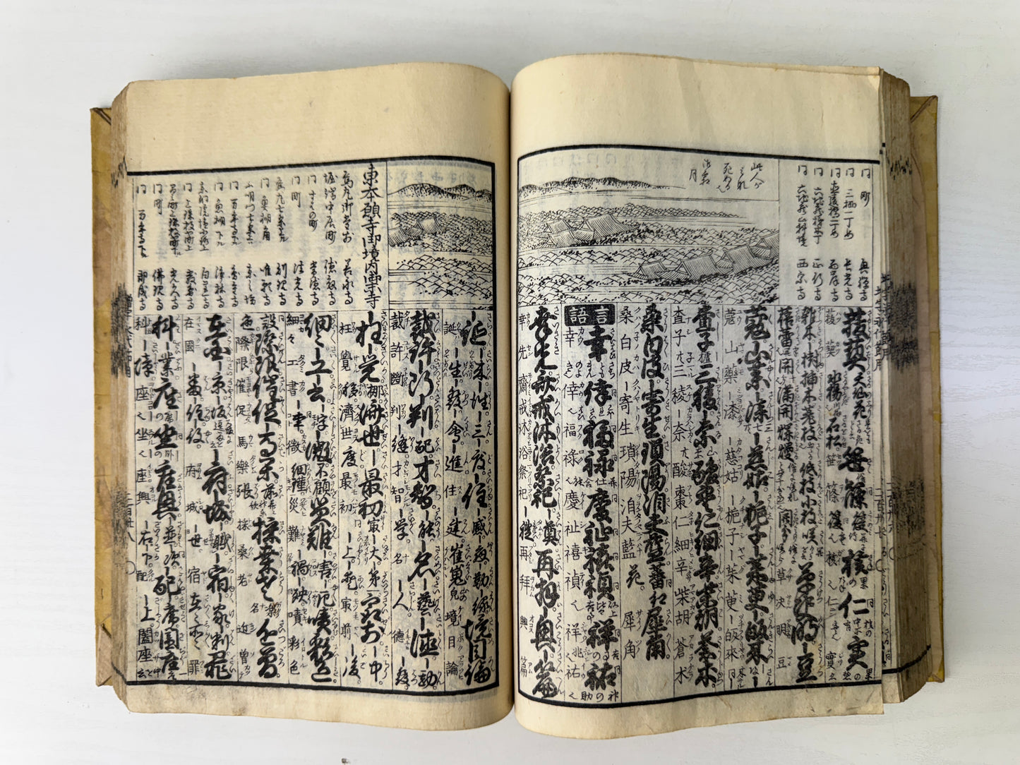 Y9244 WOODBLOCK PRINT Japanese book 1 volume thick dictionary Japan antique