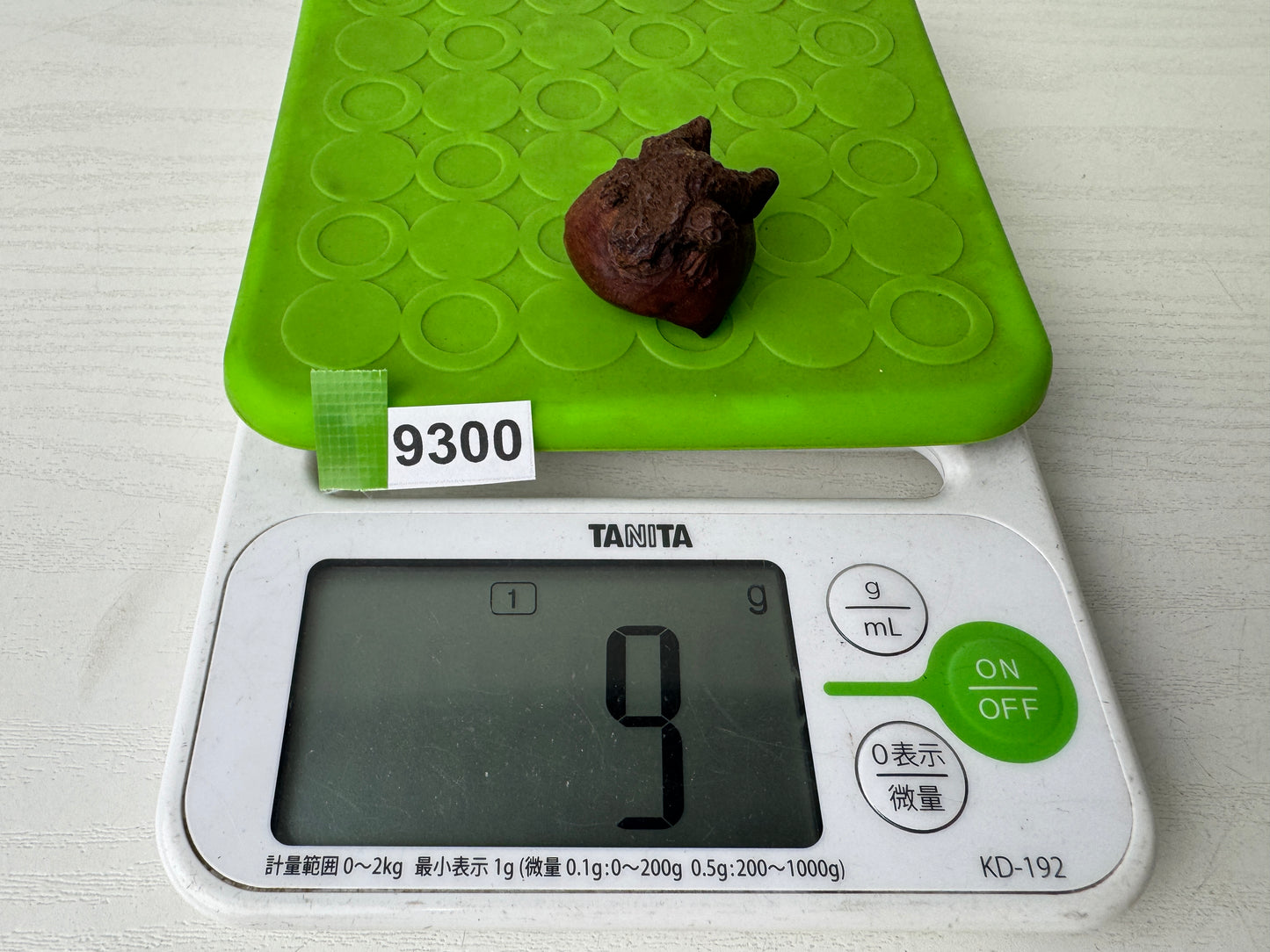 Y9300 NETSUKE wood carving Chestnut Frog Japan antique kimono accessory fashion