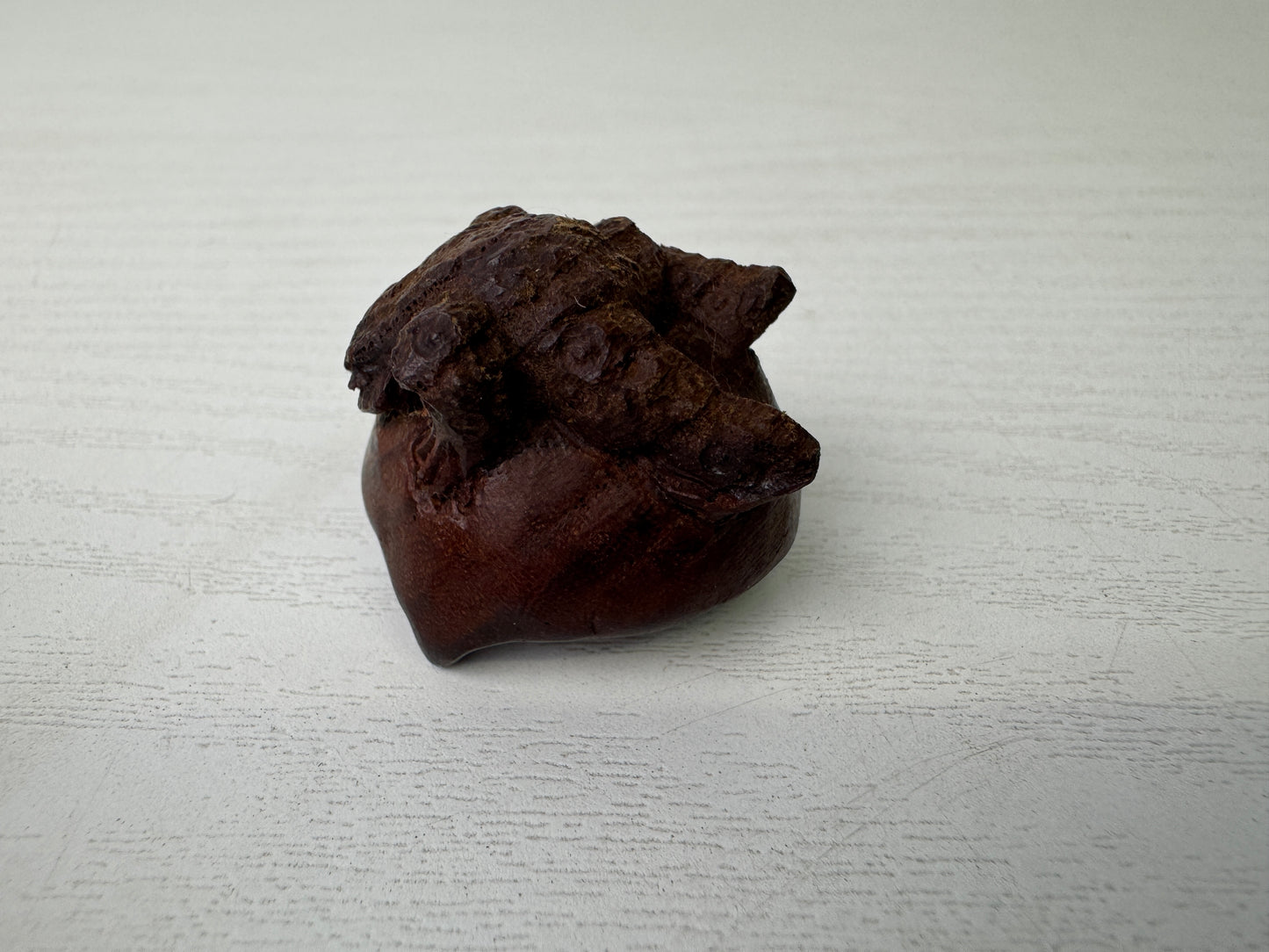 Y9300 NETSUKE wood carving Chestnut Frog Japan antique kimono accessory fashion