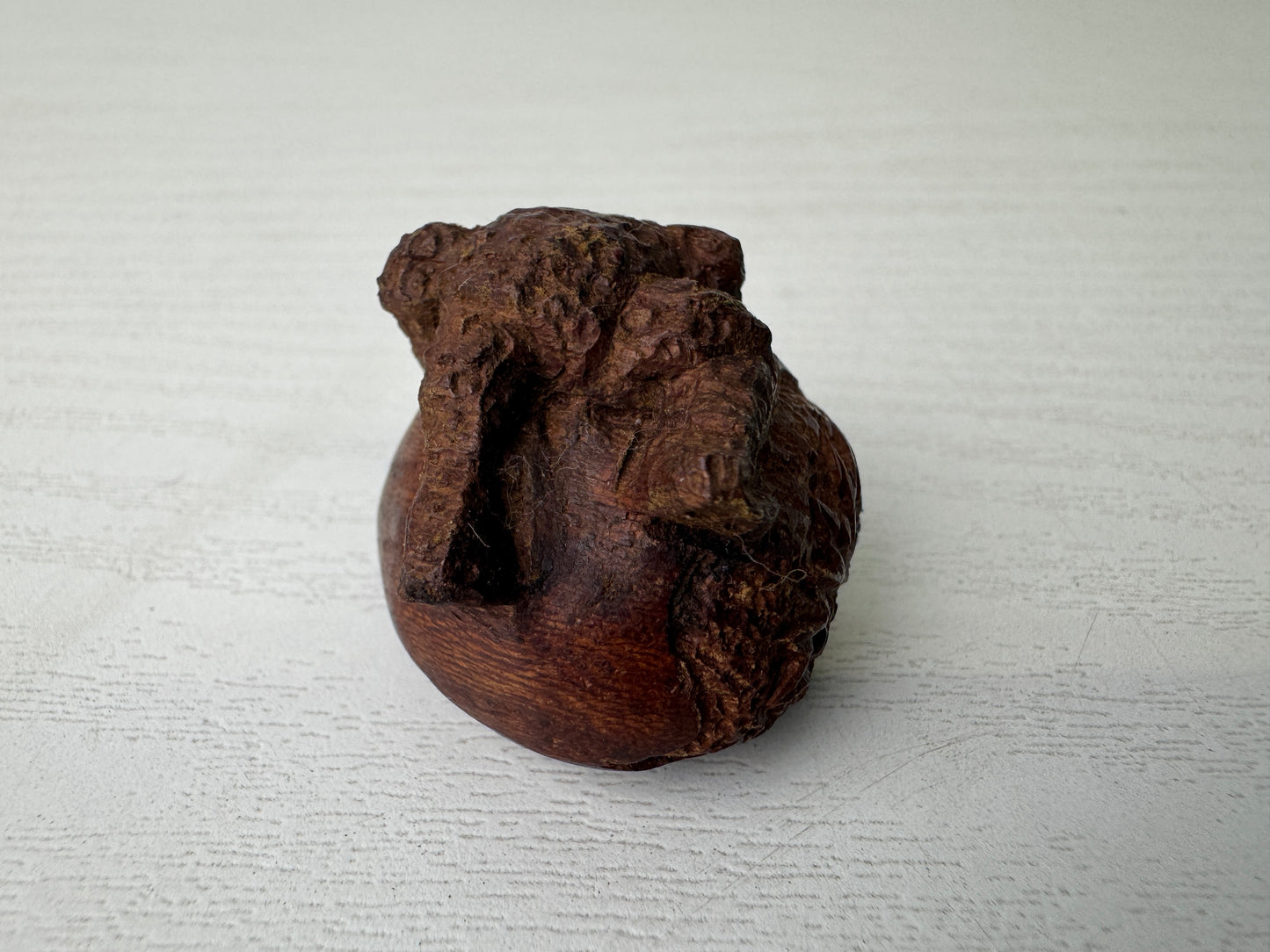 Y9300 NETSUKE wood carving Chestnut Frog Japan antique kimono accessory fashion