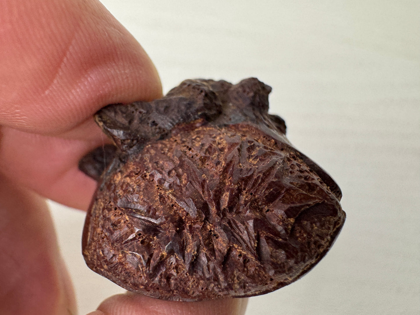 Y9300 NETSUKE wood carving Chestnut Frog Japan antique kimono accessory fashion