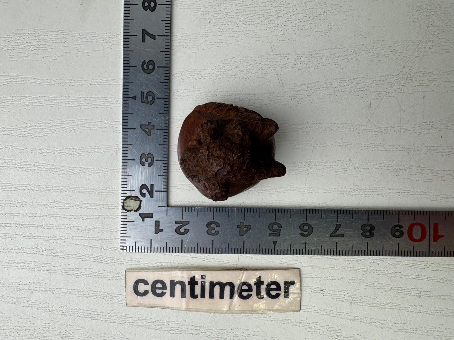 Y9300 NETSUKE wood carving Chestnut Frog Japan antique kimono accessory fashion