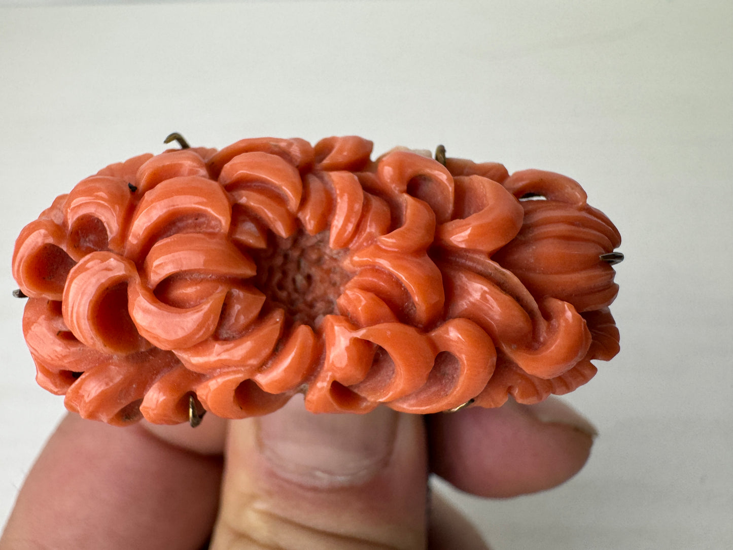 Y9323 OBIDOME Genuine coral sash clip brooch box Japan antique kimono accessory
