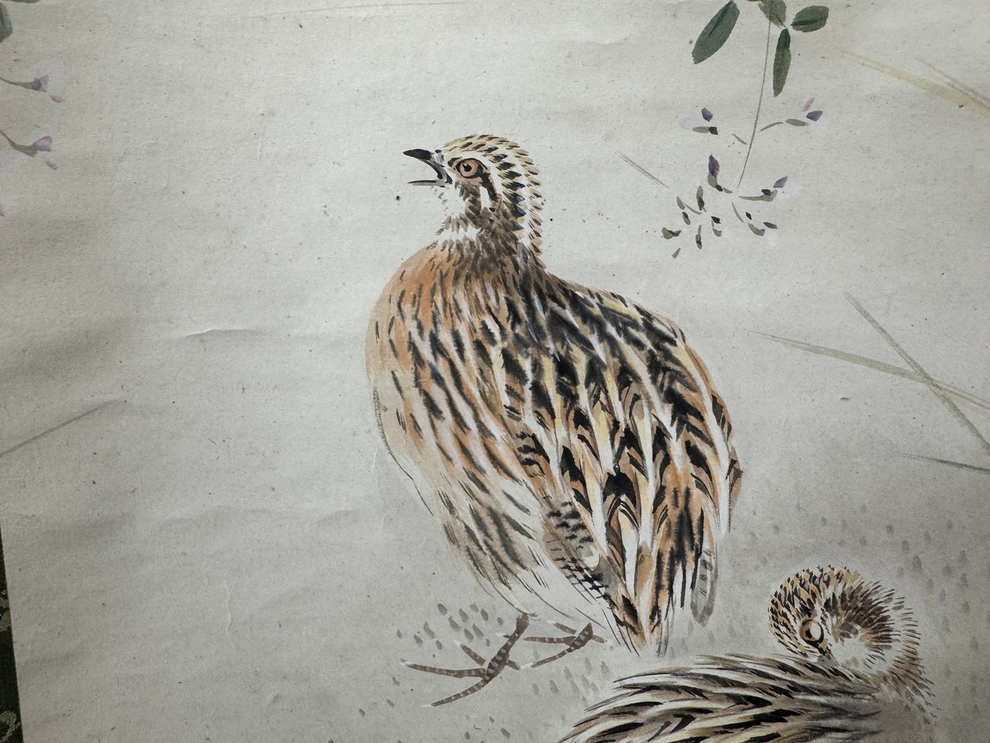 Y9587 KAKEJIKU Quail bird signed box Japan antique hanging scroll art interior