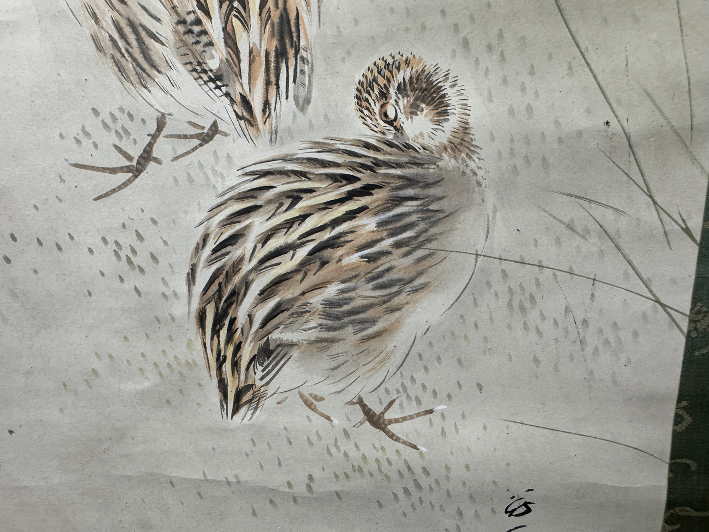 Y9587 KAKEJIKU Quail bird signed box Japan antique hanging scroll art interior