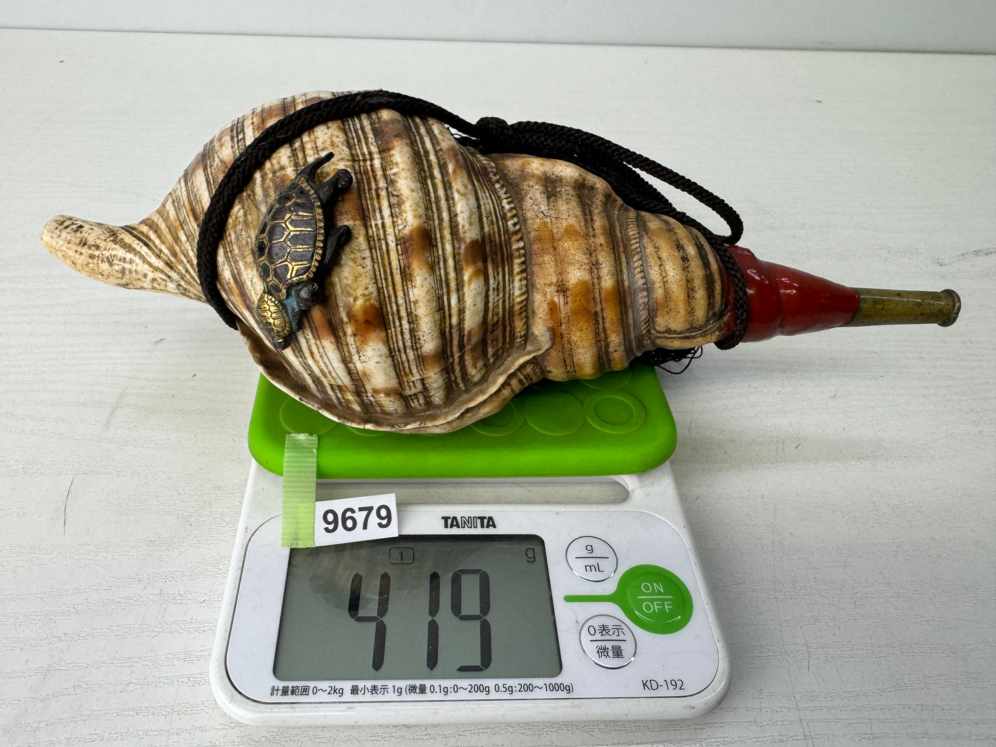 Y9679 HORAGAI Conch shell musical instrument Samurai Japan antique bushi bugu