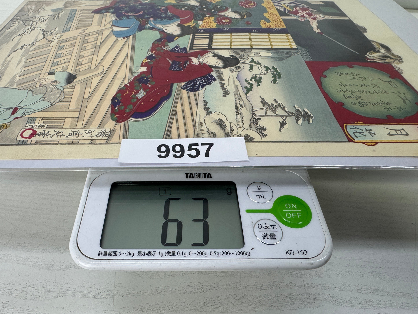 Y9957 WOODBLOCK PRINT Chikanobu Bakeneko goblin cat ghost Japan Ukiyoe antique