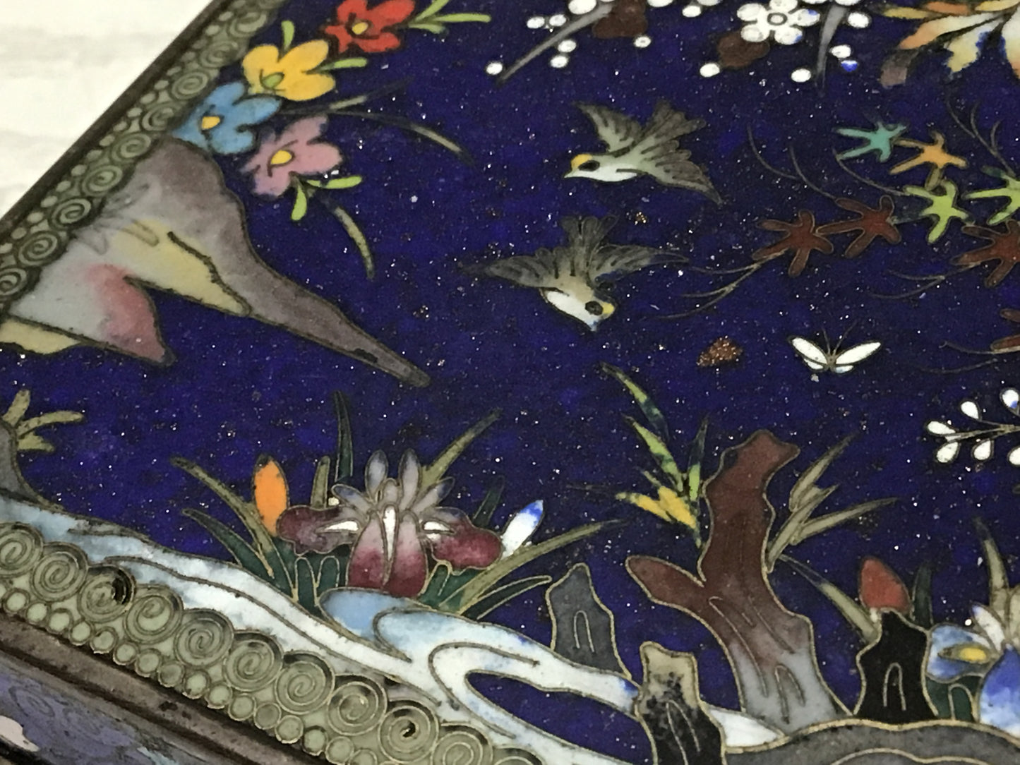 Y2249 BOX cloisonne ware accessory case flowers birds Japanese antique decor
