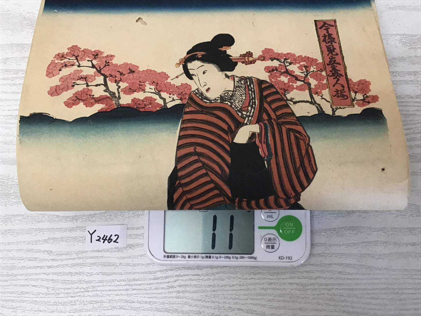 Y2462 WOODBLOCK PRINT Ichijusai 2 pieces Japanese Ukiyoe vintage painting art