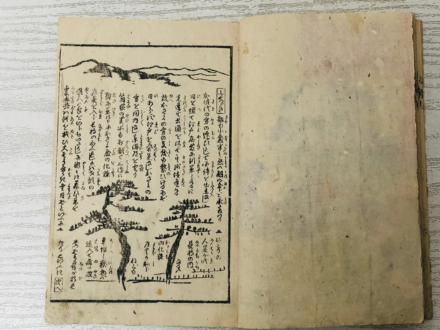 Y3038 WOODBLOCK PRINT Book 1 Book 2 set Japan Ukiyoe vintage antique art
