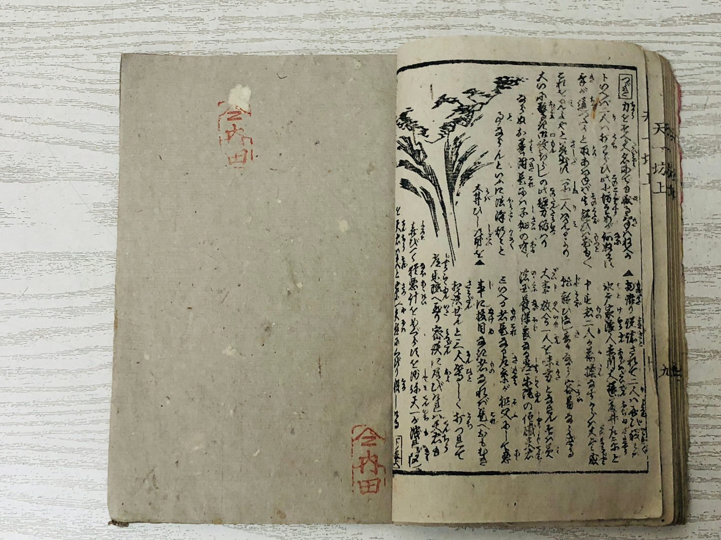 Y3041 WOODBLOCK PRINT Tenichibo story Book 1 Book 2 set Japan Ukiyoe antique