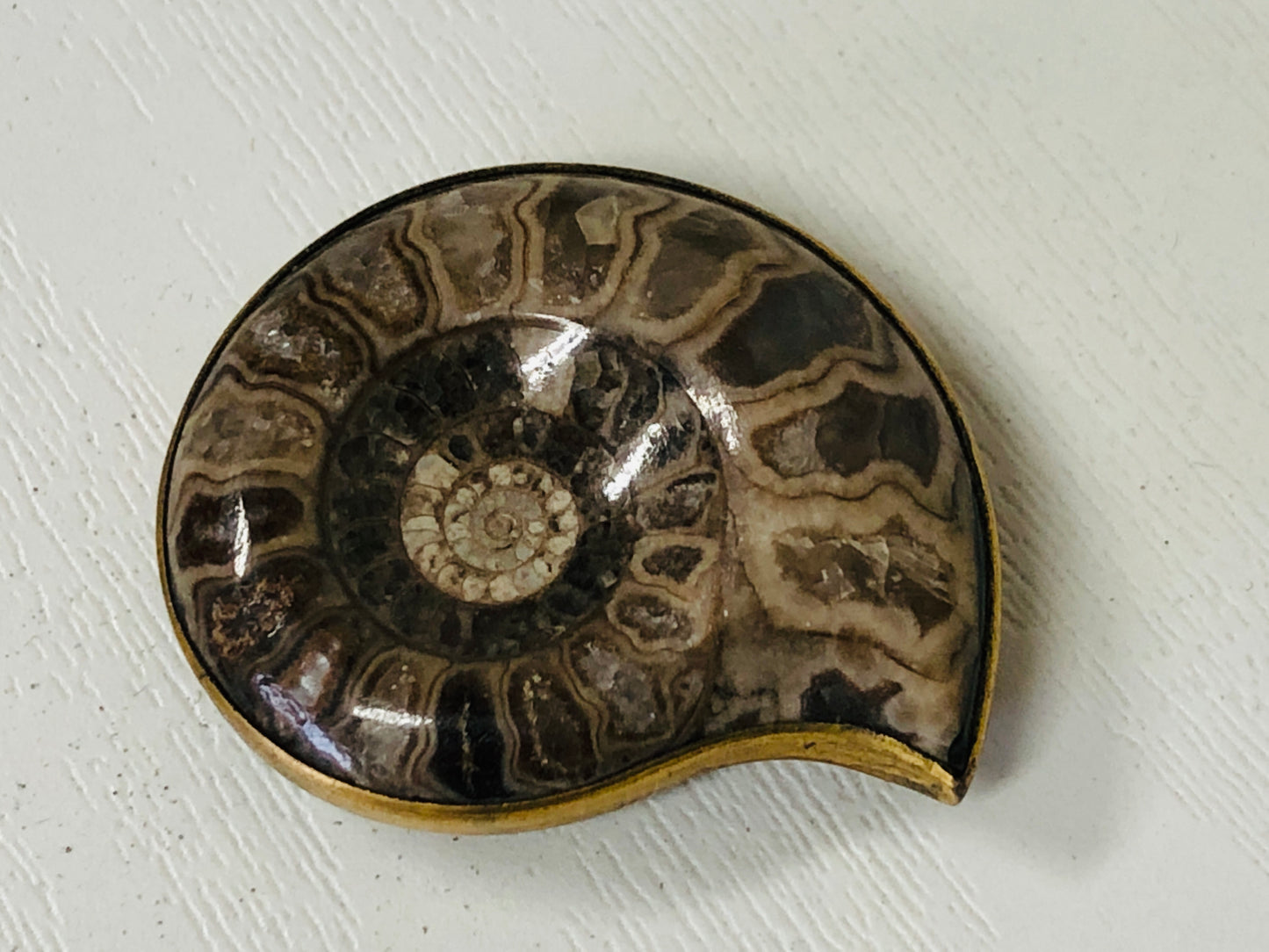 Y4121 OBIDOME Sash Clip brooch Ammonite Japan kimono accessory antique vintage