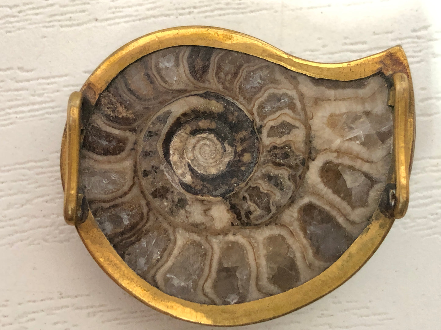 Y4121 OBIDOME Sash Clip brooch Ammonite Japan kimono accessory antique vintage
