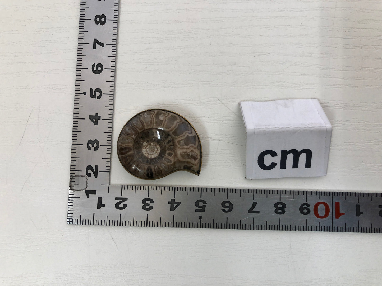 Y4121 OBIDOME Sash Clip brooch Ammonite Japan kimono accessory antique vintage