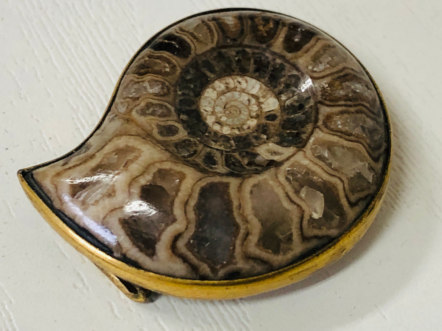 Y4121 OBIDOME Sash Clip brooch Ammonite Japan kimono accessory antique vintage