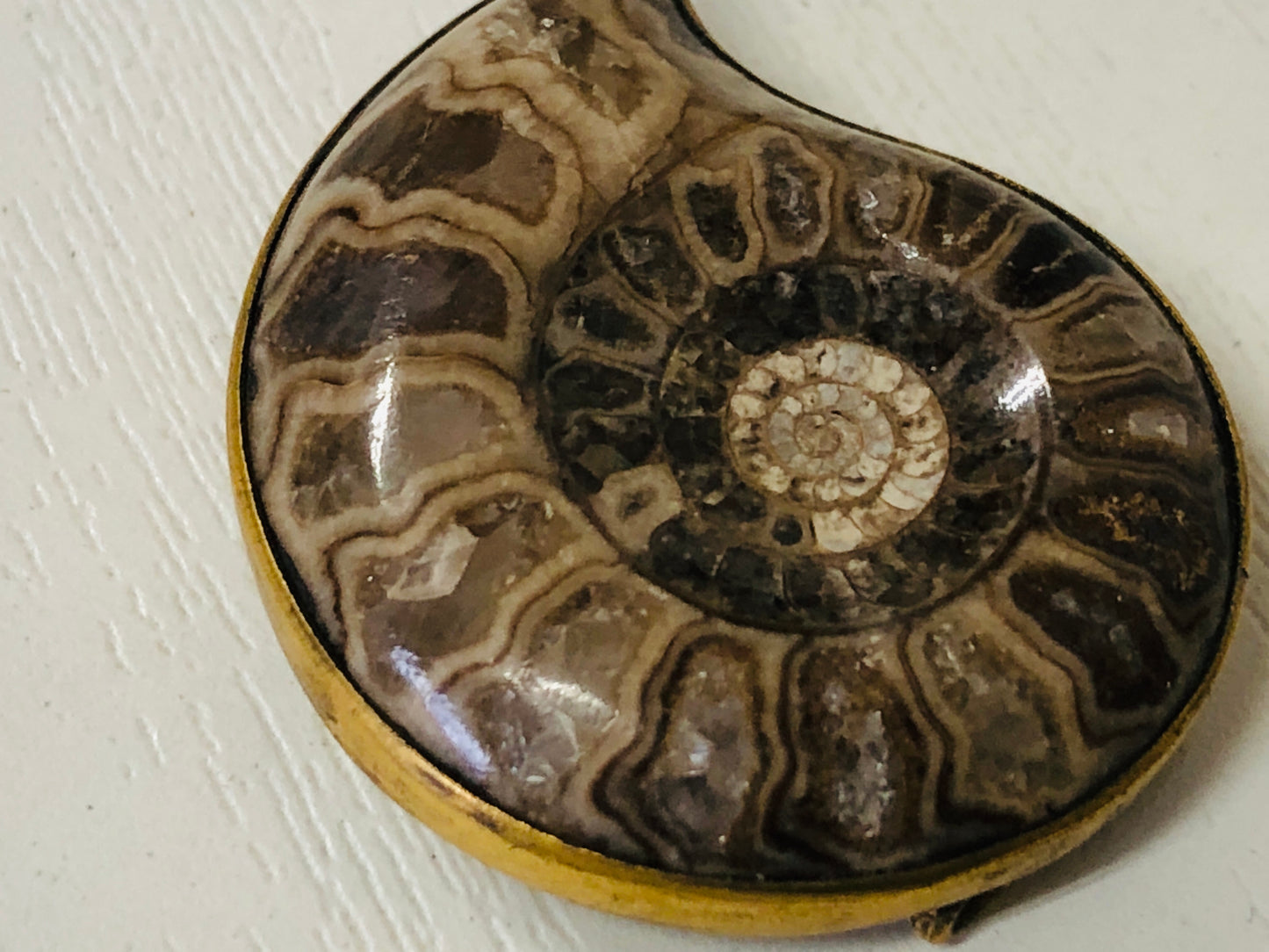 Y4121 OBIDOME Sash Clip brooch Ammonite Japan kimono accessory antique vintage