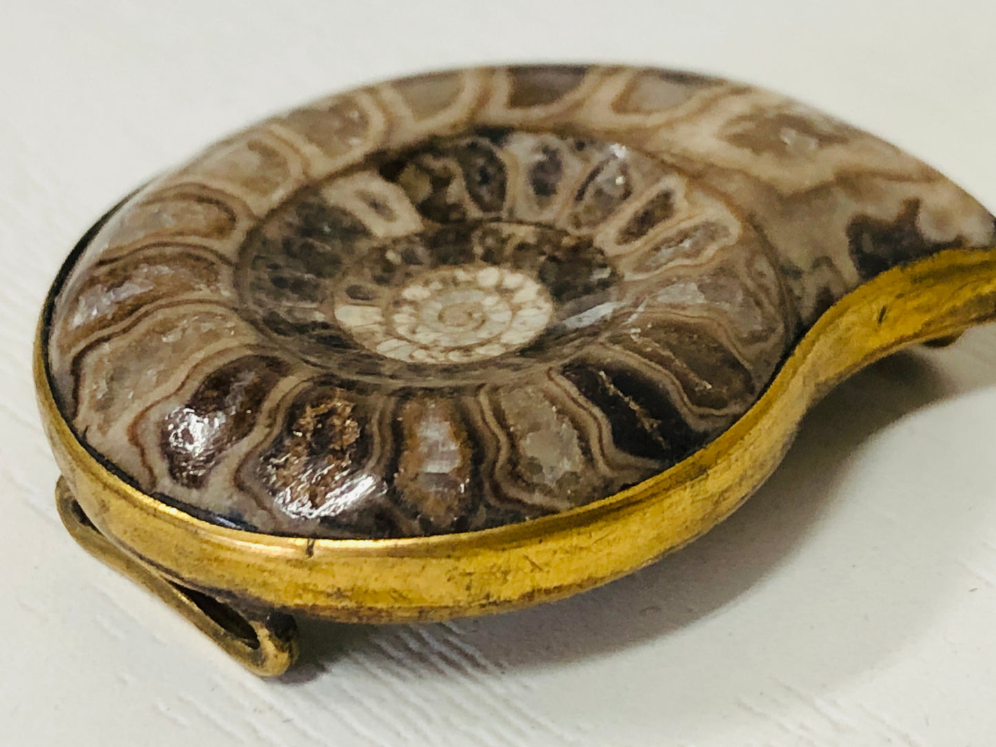 Y4121 OBIDOME Sash Clip brooch Ammonite Japan kimono accessory antique vintage