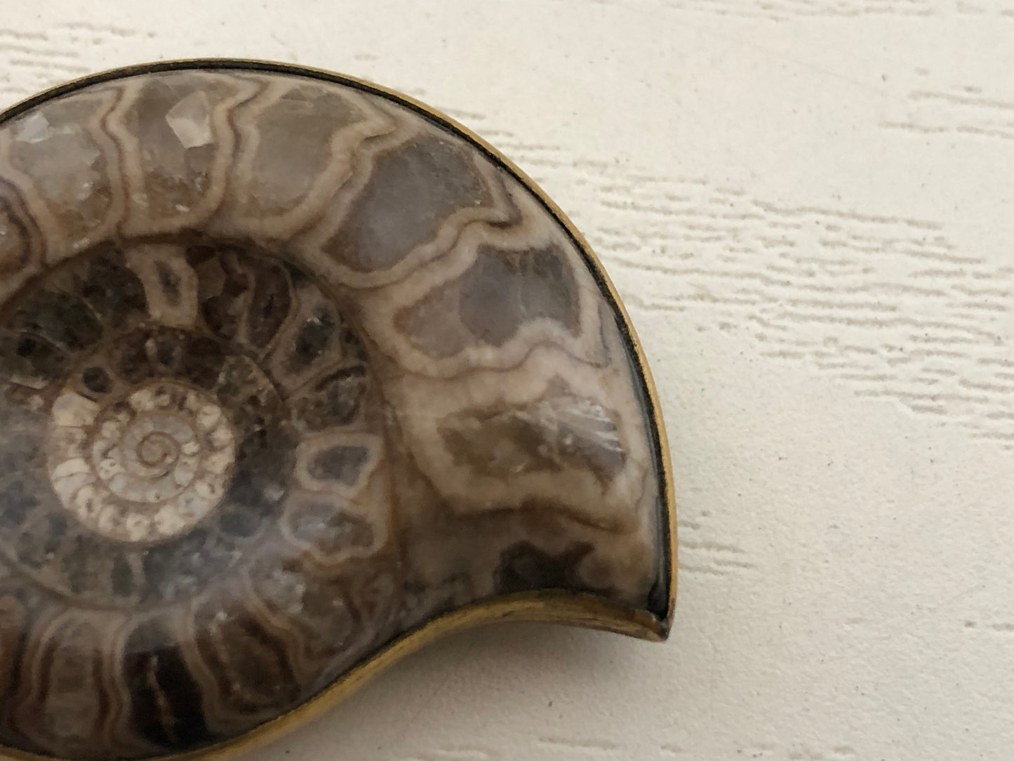 Y4121 OBIDOME Sash Clip brooch Ammonite Japan kimono accessory antique vintage