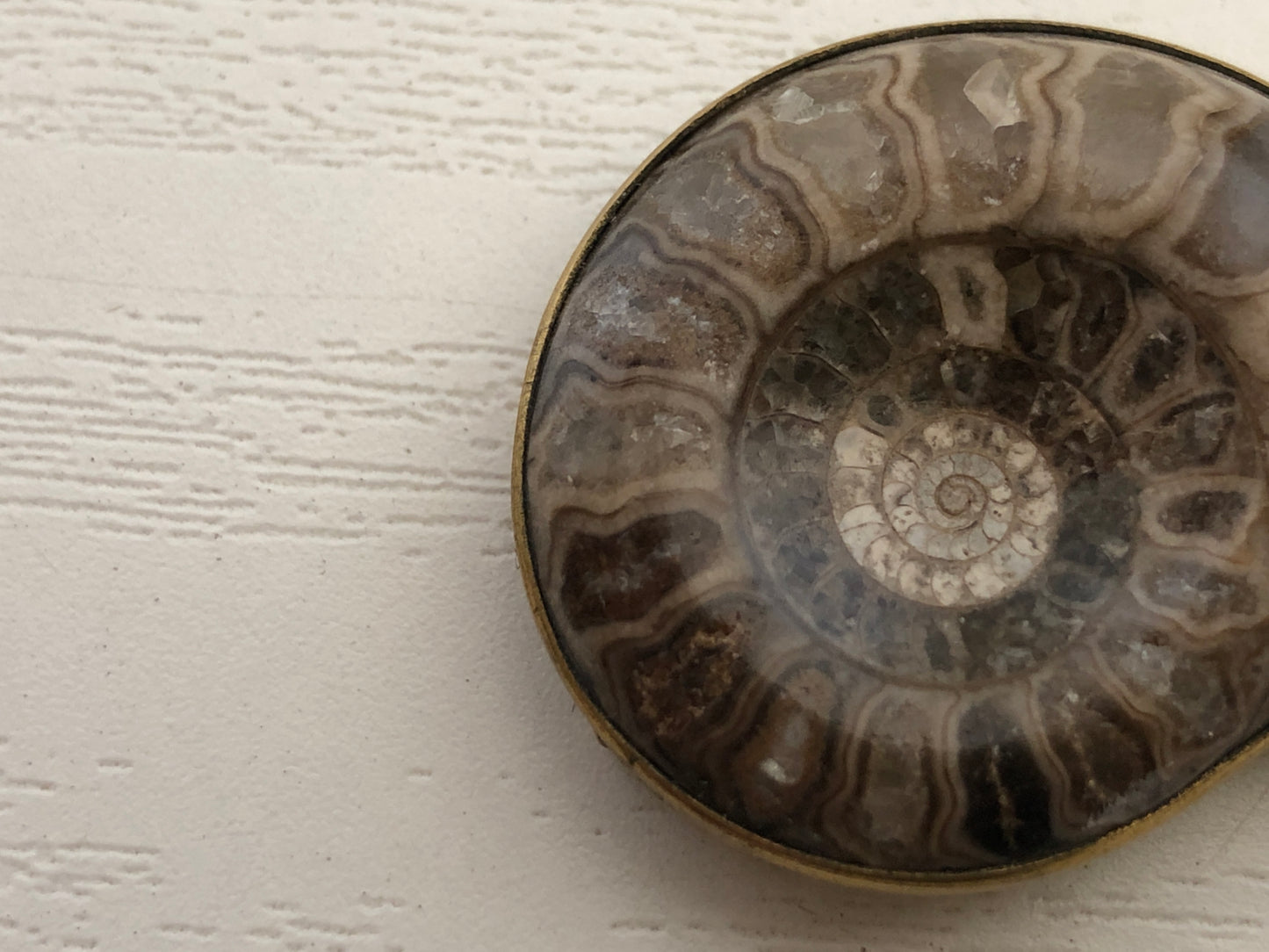 Y4121 OBIDOME Sash Clip brooch Ammonite Japan kimono accessory antique vintage