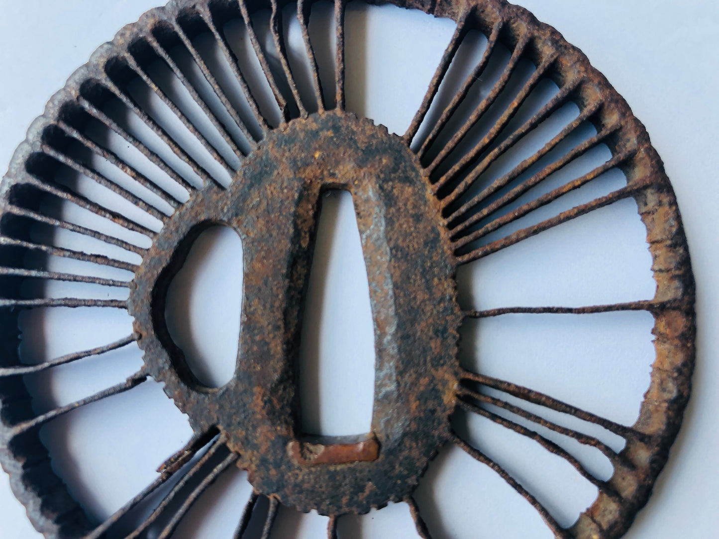 Y4567 TSUBA iron large sword guard lion box Japan samurai katana koshirae edo