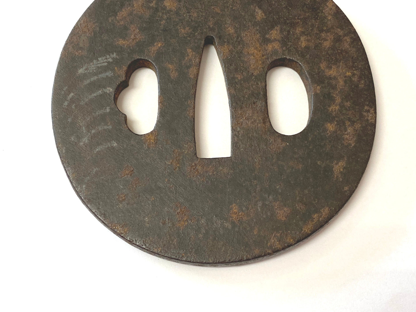 Y4569 TSUBA iron sword guard Japanese pampas grass inlay samurai katana koshirae