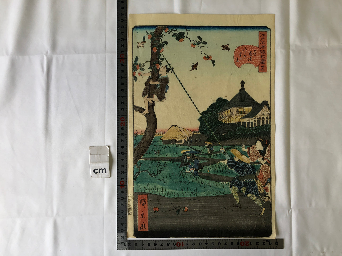 Y4628 WOODBLOCK PRINT Hirokage Edo famous place Japan Ukiyoe art antique