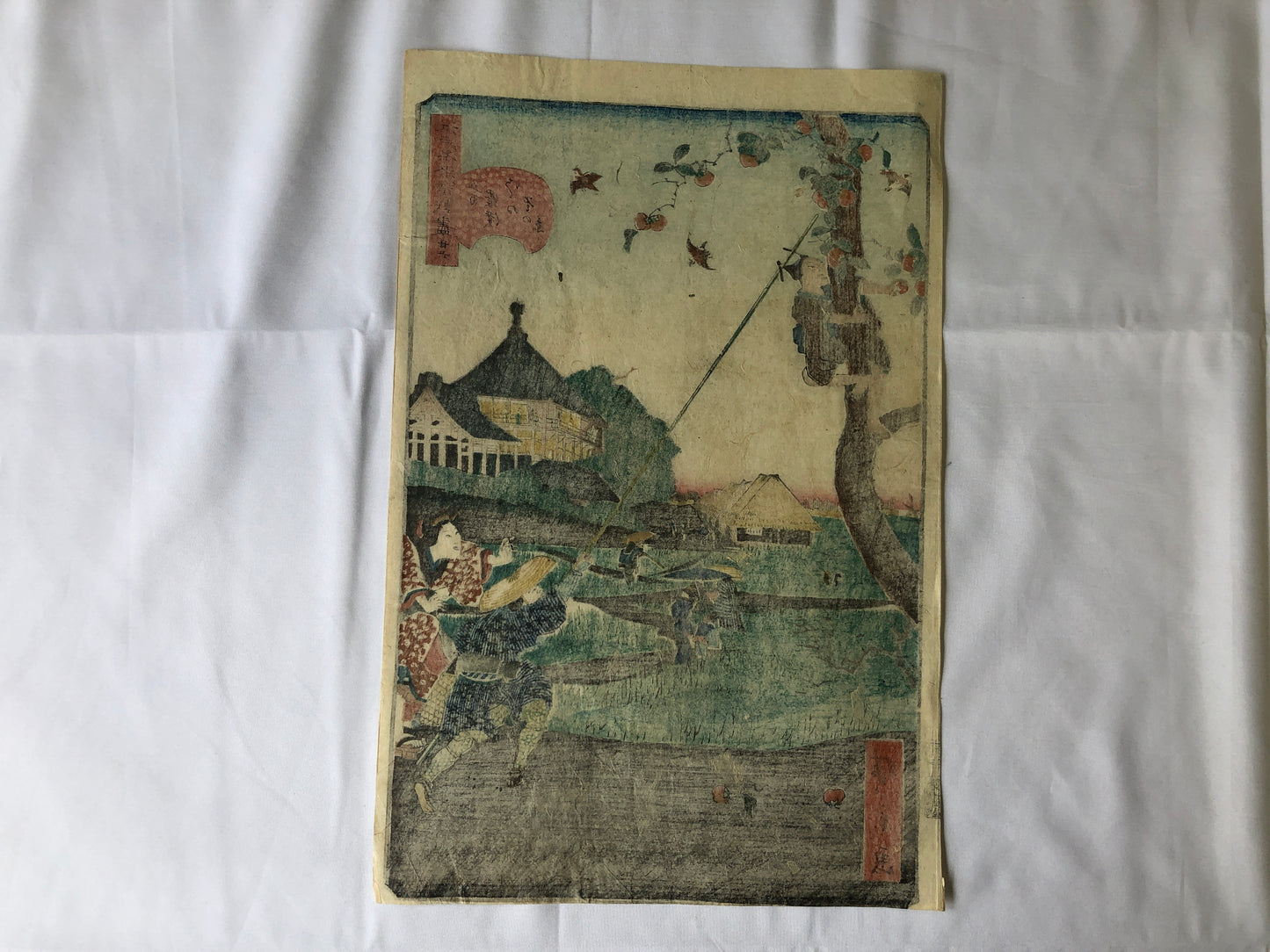 Y4628 WOODBLOCK PRINT Hirokage Edo famous place Japan Ukiyoe art antique