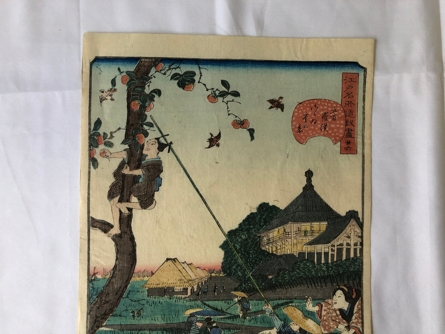 Y4628 WOODBLOCK PRINT Hirokage Edo famous place Japan Ukiyoe art antique