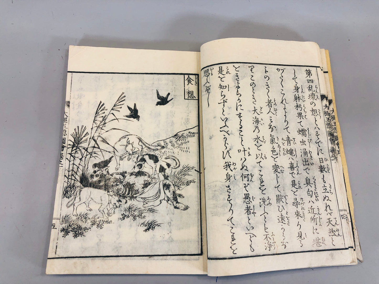 Y5461 WOODBLOCK PRINT Japanese style book Kaikyo Five Evil Japan Ukiyoe antique