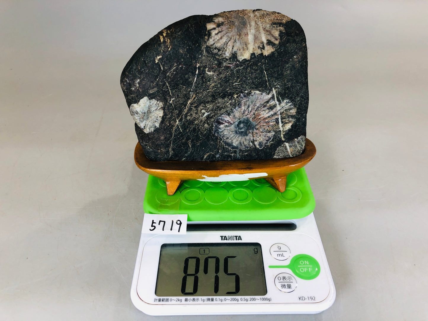 Y5719 OKIMONO Chrysanthemum stone wooden stand Japan antique interior home decor