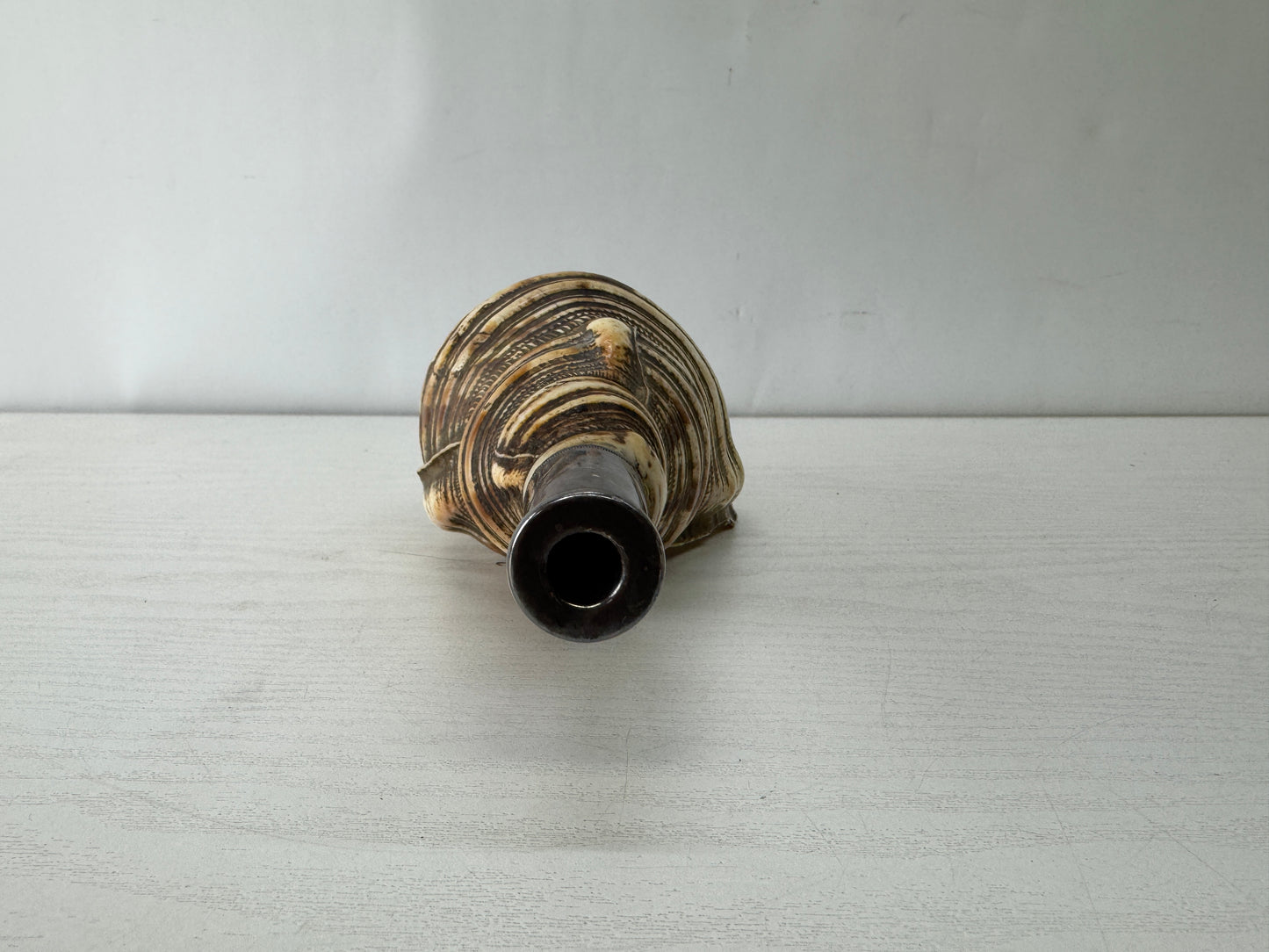 Y10128 HORAGAI Conch shell musical instrument Samurai Japan antique bushi bugu